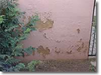 Damp Proofing